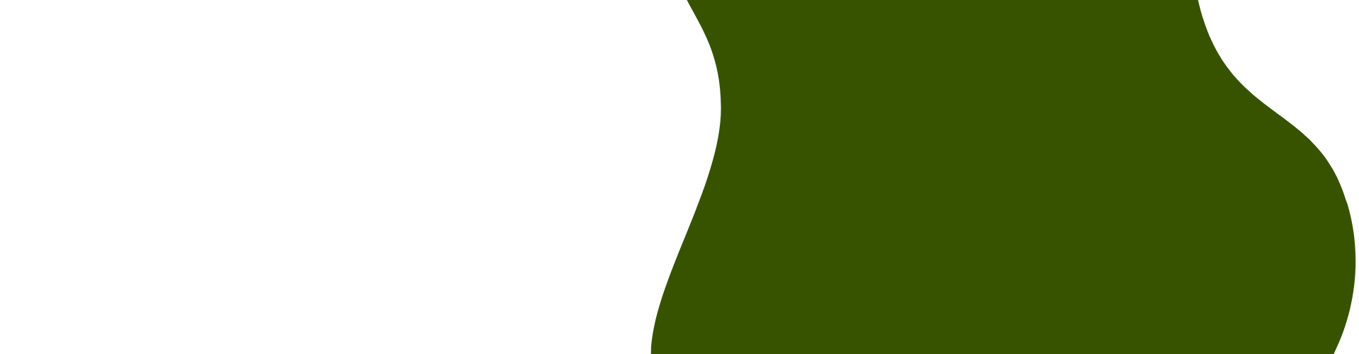 capa 4